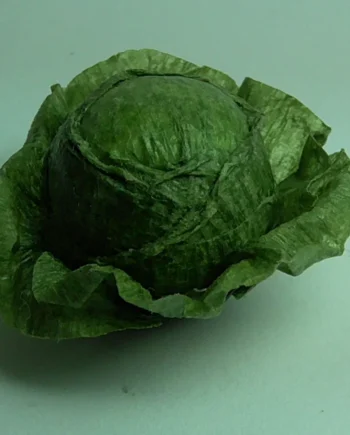 Cabbage