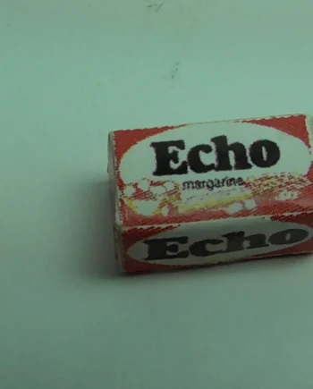 Packet of ECHO