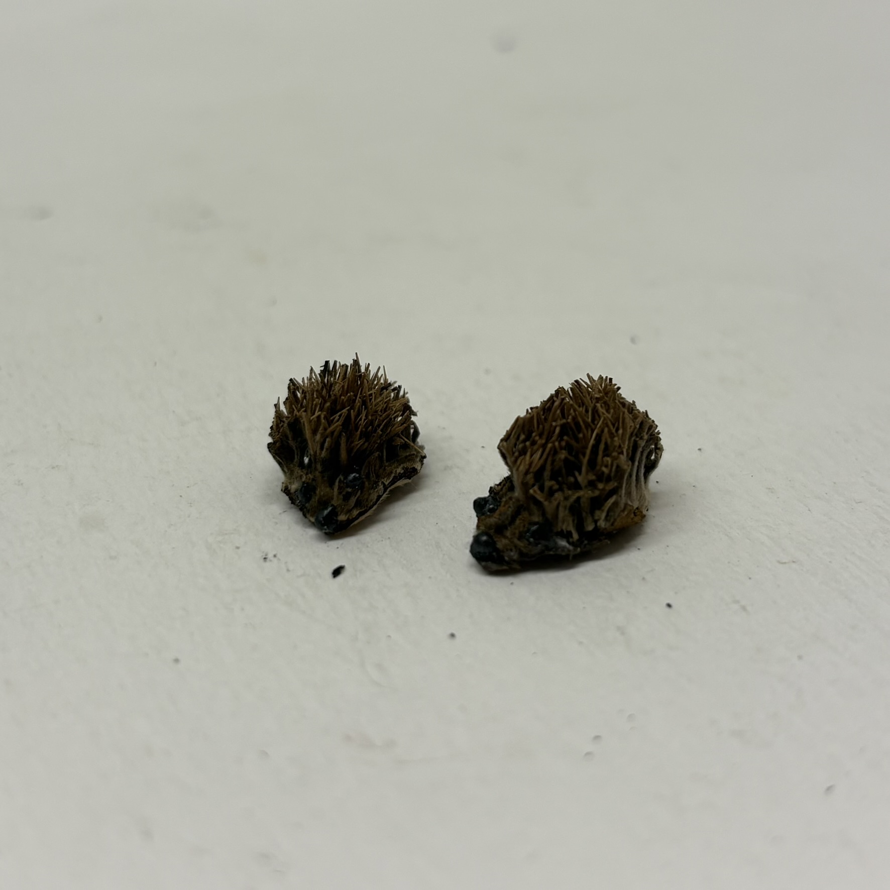 1/12th Scale, Dolls House Miniatures: Twin Hedgehogs, PF32