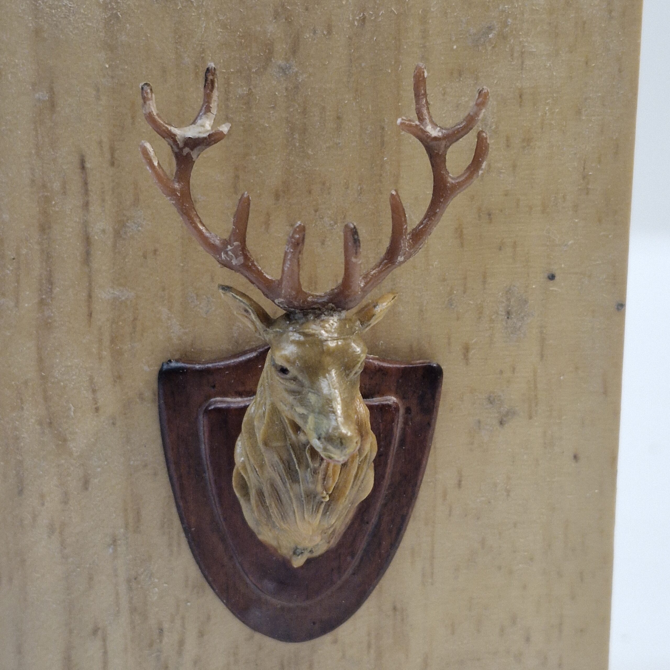 1/12th Scale Stags Head TG24