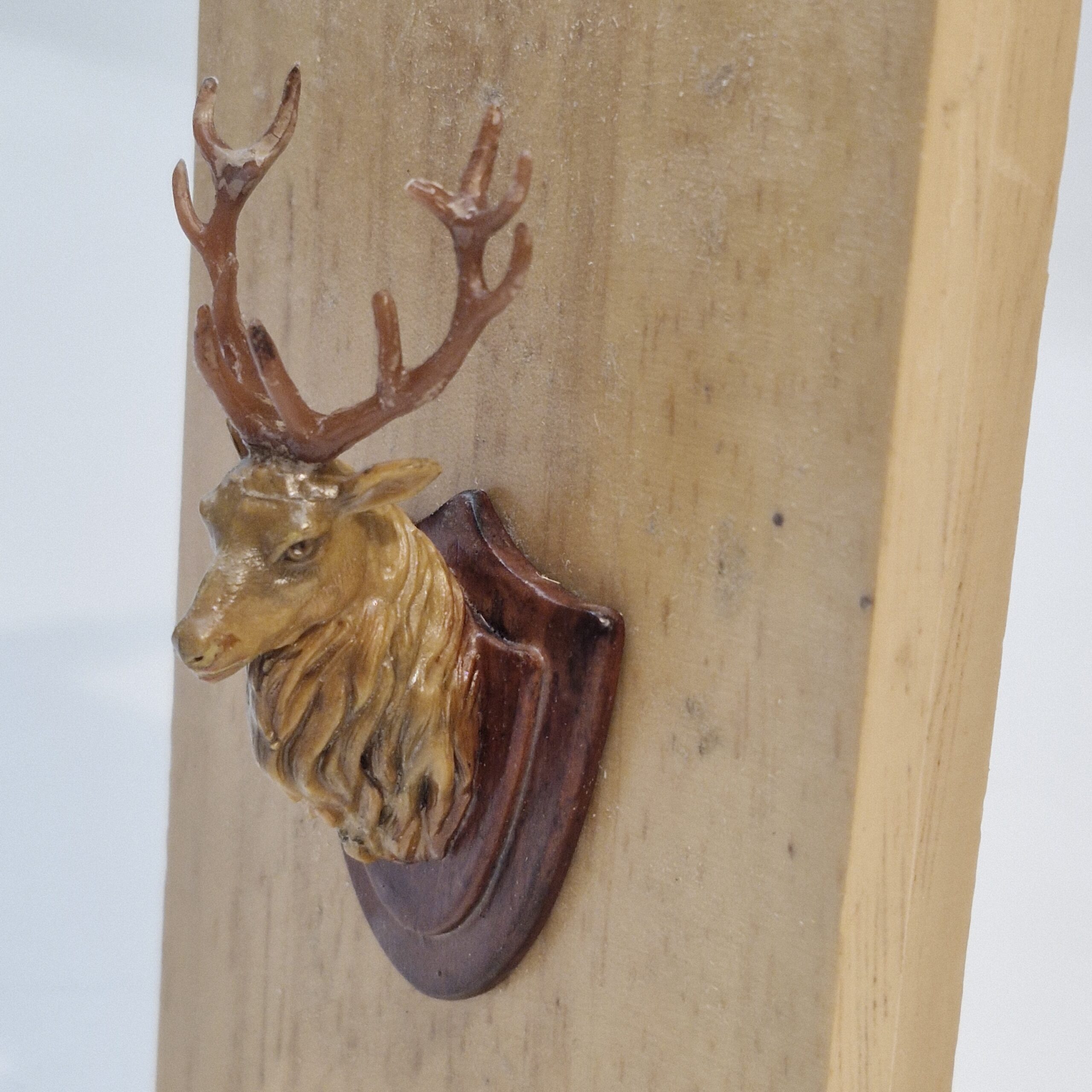 1/12th Scale Stags Head TG24