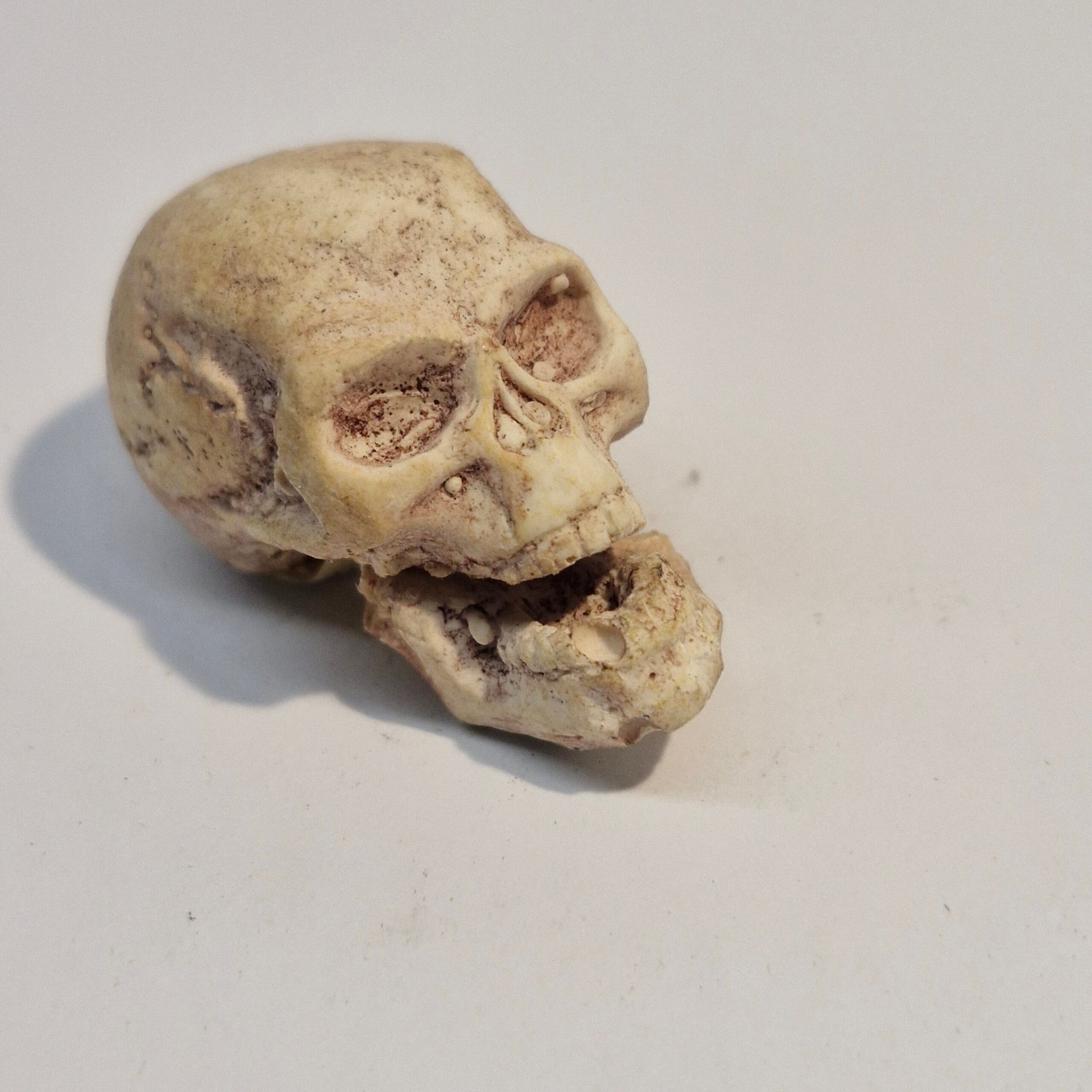 1:12th scale Dolls House Skull moving Jaw VEF43