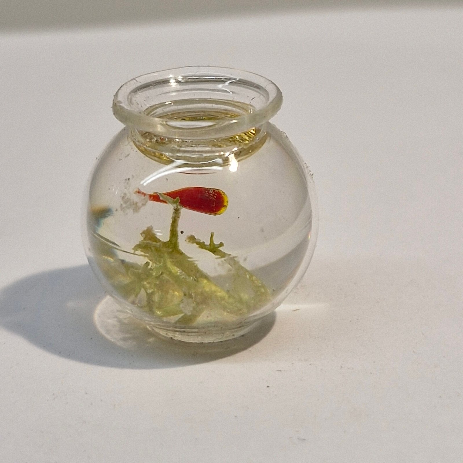 1:12th scale Dolls House Gold Fish Bowl Glass VEF53
