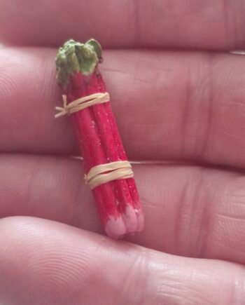 12th scale Dolls House Miniature  Bundle of Rhubarb   RP13